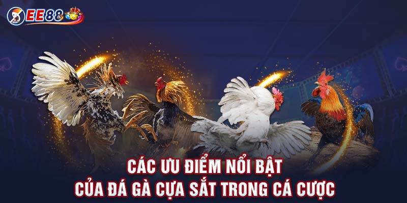 Các ưu điểm nổi bật của đá gà cựa sắt trong cá cược