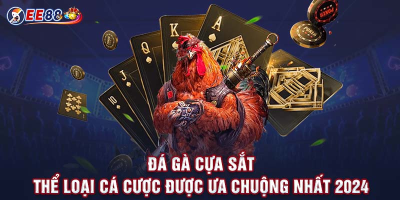 Các mẹo để dành chiến thắng khi đặt cược vào các trận đấu của chiến kê