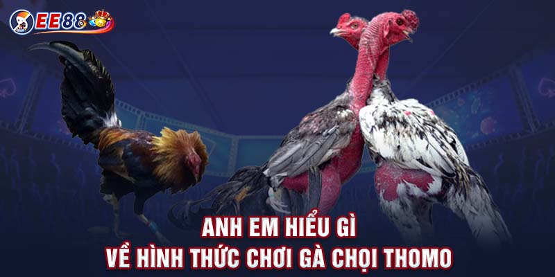 Anh em hiểu gì về hình thức chơi gà chọi thomo