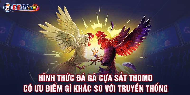 Hình thức đá gà cựa sắt thomo có ưu điểm gì khác so với truyền thống