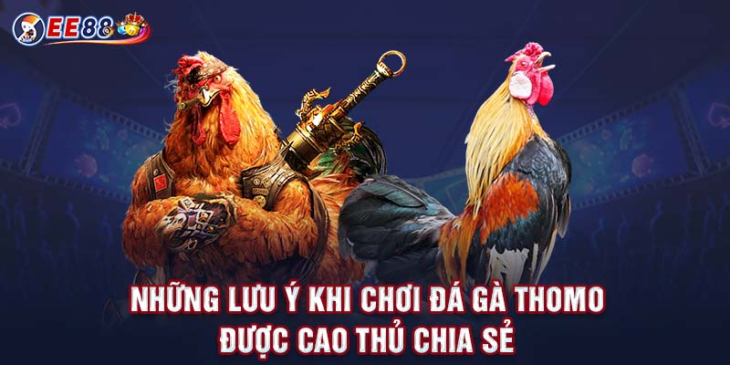 Những lưu ý khi chơi đá gà thomo được cao thủ chia sẻ