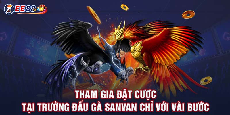 Tham gia đặt cược tại trường đấu gà Sanvan chỉ với vài bước