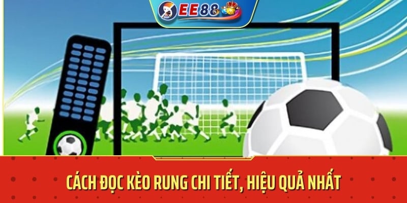 Cách đọc kèo rung chi tiết, hiệu quả nhất