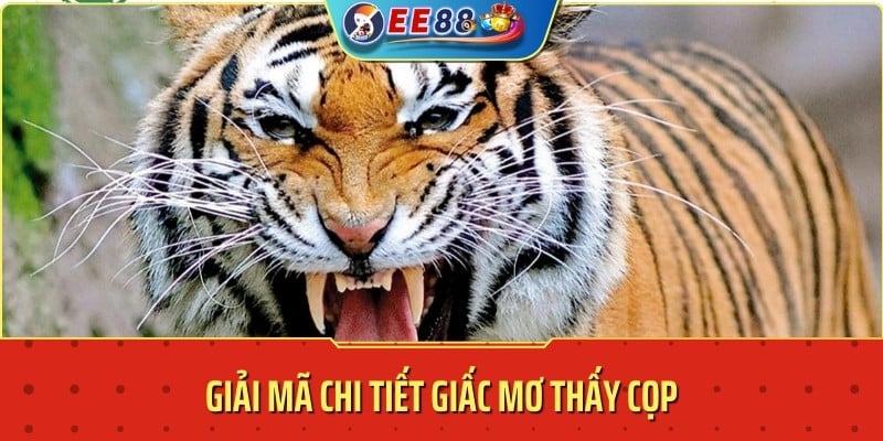 Mơ thấy hổ đánh con gì - Giải mã chi tiết giấc mơ thấy cọp